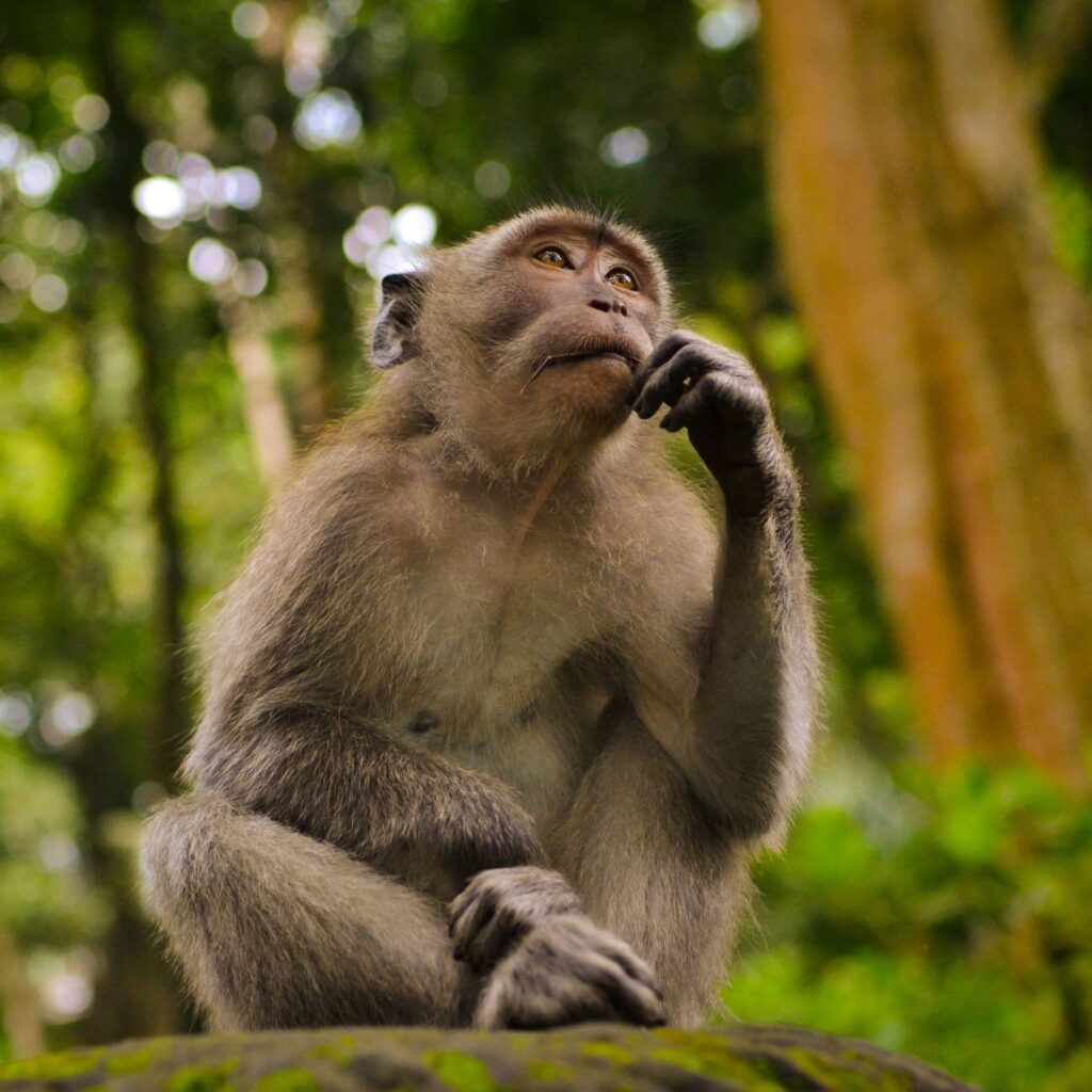 Quais são os 7 Ciclos da Vida?
